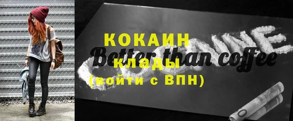 ГАЛЛЮЦИНОГЕННЫЕ ГРИБЫ Вязники