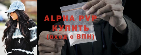 хмурый Горно-Алтайск