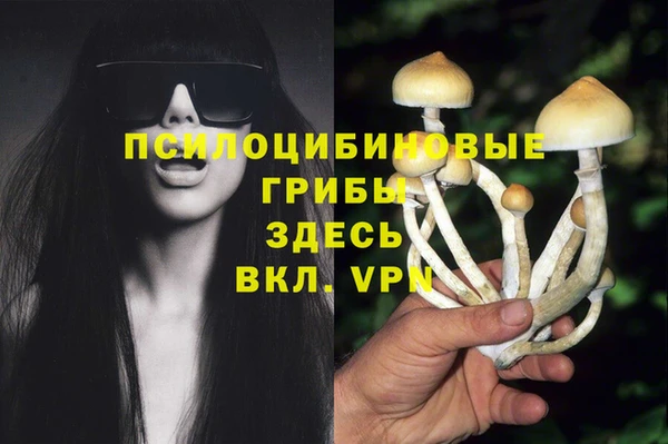 бутират Горняк
