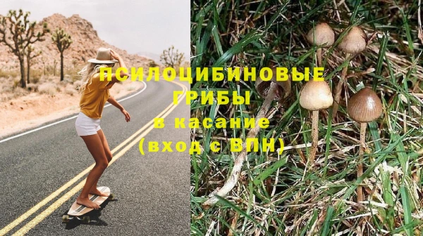 амф Горнозаводск