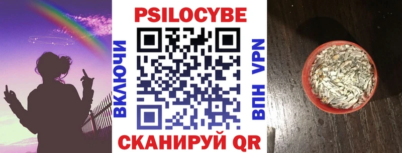 где найти наркотики  Дагестанские Огни  Псилоцибиновые грибы мицелий 